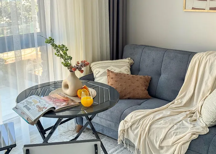 Qoople Elite 3 ألانيا